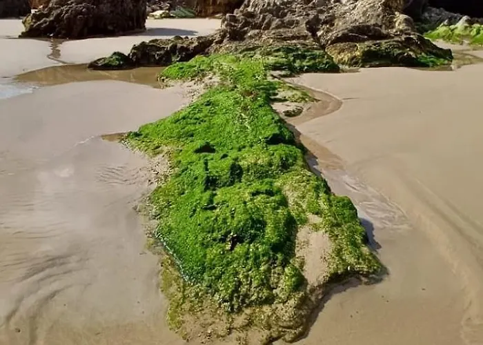 Playa De Pantin Valdoviño